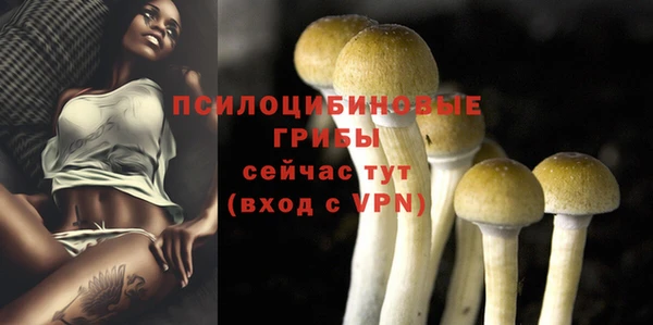 ешки Абаза