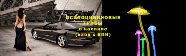 твердый Алзамай