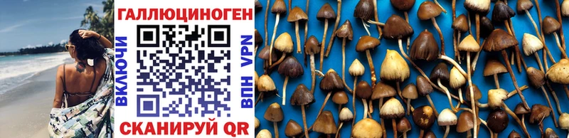 Псилоцибиновые грибы Psilocybe  МЕГА ССЫЛКА  Абаза 